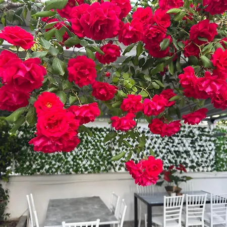 Garden *