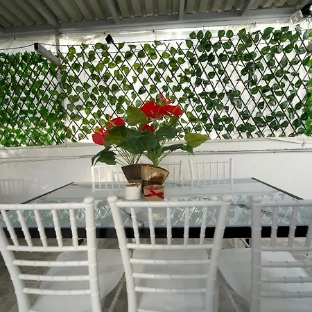 Garden Apartman *